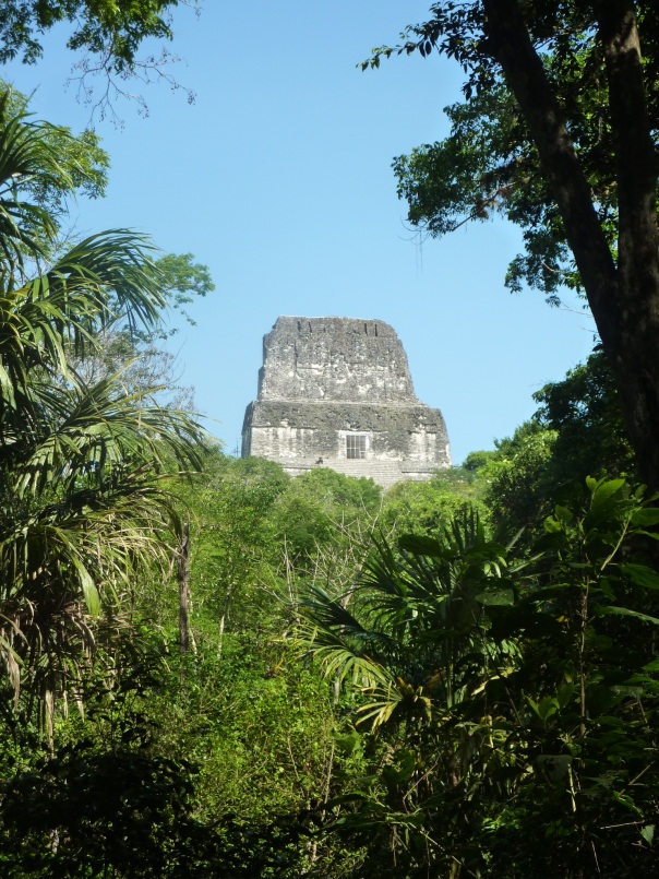 Temple IV from the jungle