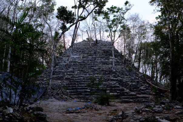 pyramid covered in trees