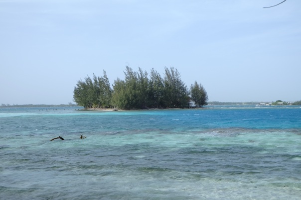 One of the nearby cayes.