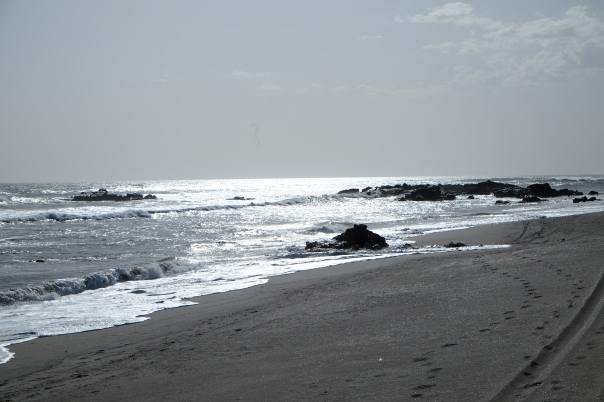 Playa de las Peñitas on the Pacific Coast