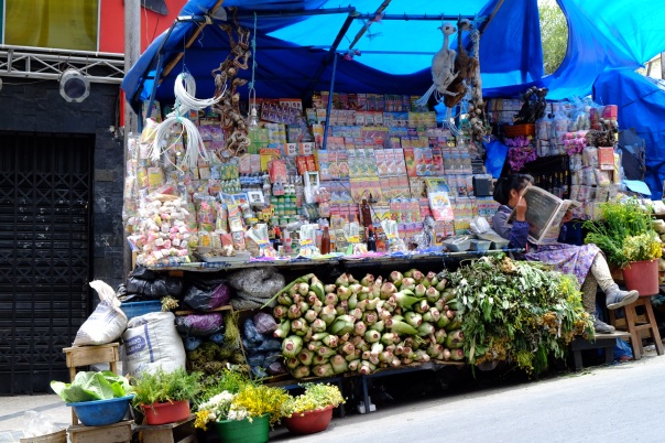 Market stall at the Witches Market - La Paz