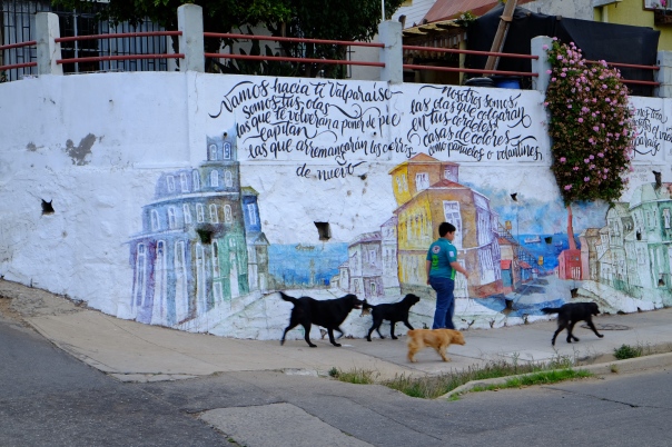 Valparaiso Graffiti 3