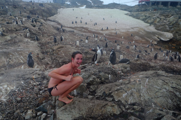 1 week among penguins - they still haven't realised I'm a human